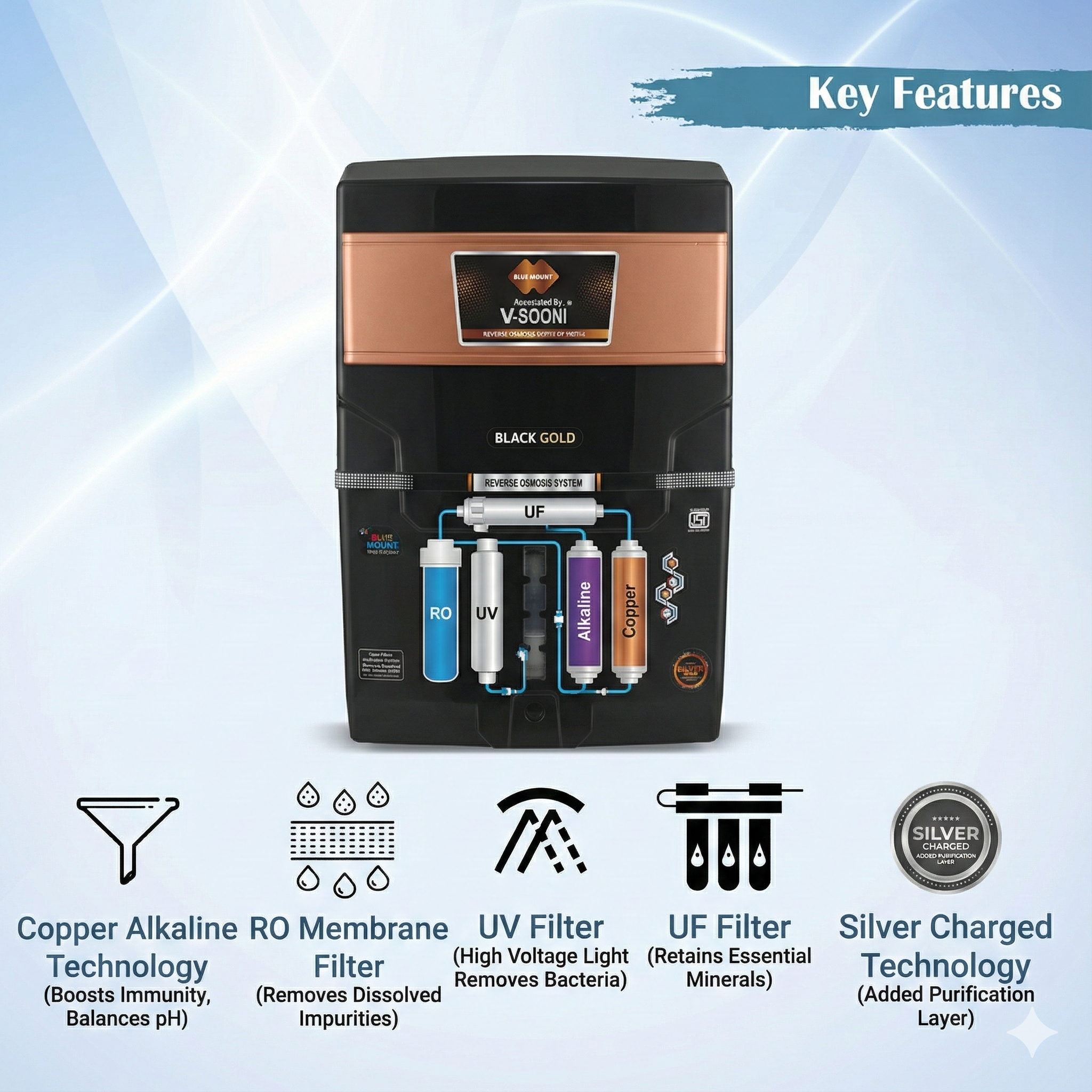 Vsooni Black Gold RO