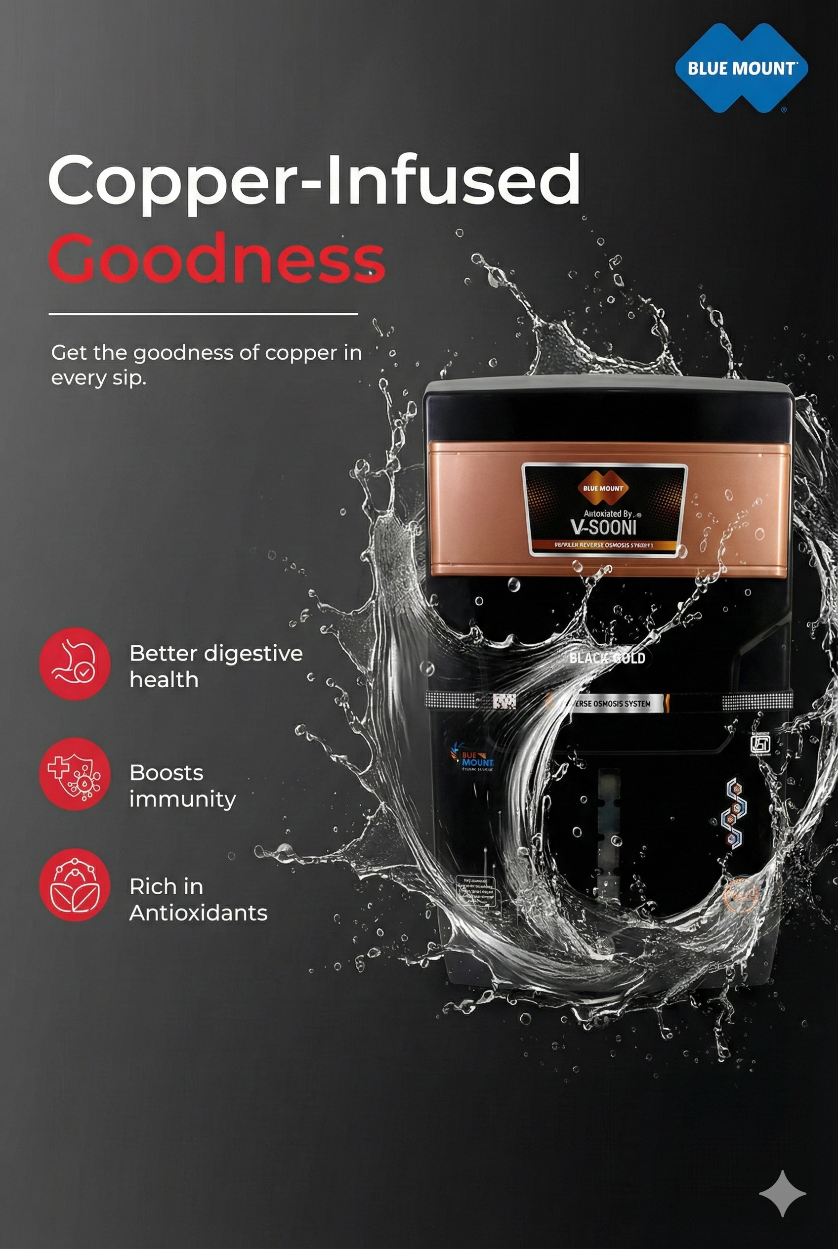 Vsooni Black Gold RO